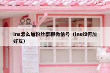 ins怎么加粉丝群聊微信号（ins如何加好友）