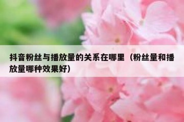 抖音粉丝与播放量的关系在哪里（粉丝量和播放量哪种效果好）