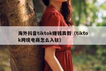 海外抖音tiktok赚钱真假（tiktok跨境电商怎么入驻）