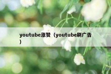 youtube涨赞（youtube刷广告）