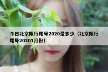 今日北京限行尾号2020是多少（北京限行尾号20201月份）