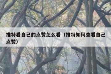 推特看自己的点赞怎么看（推特如何查看自己点赞）