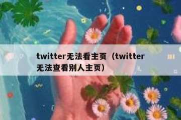 twitter无法看主页（twitter无法查看别人主页）