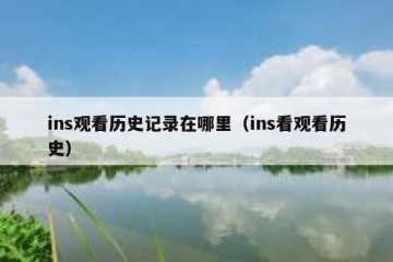 ins观看历史记录在哪里（ins看观看历史）