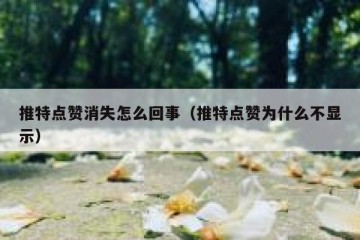 推特点赞消失怎么回事（推特点赞为什么不显示）