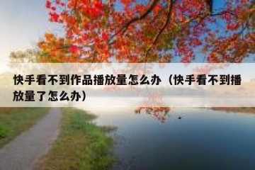 快手看不到作品播放量怎么办（快手看不到播放量了怎么办）