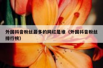 外国抖音粉丝最多的网红是谁（外国抖音粉丝排行榜）