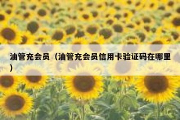 油管充会员（油管充会员信用卡验证码在哪里）