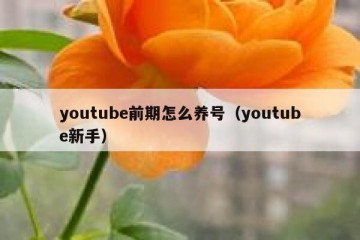 youtube前期怎么养号（youtube新手）