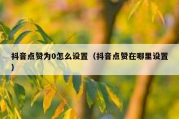 抖音点赞为0怎么设置（抖音点赞在哪里设置）