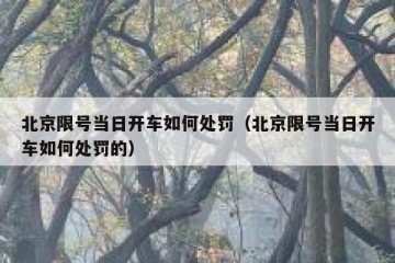 北京限号当日开车如何处罚（北京限号当日开车如何处罚的）