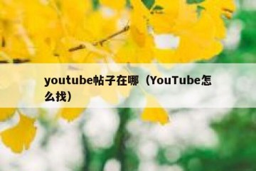 youtube帖子在哪（YouTube怎么找）