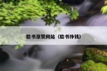 脸书涨赞网站（脸书挣钱）