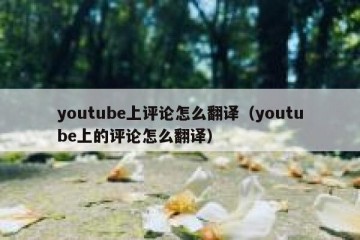 youtube上评论怎么翻译（youtube上的评论怎么翻译）