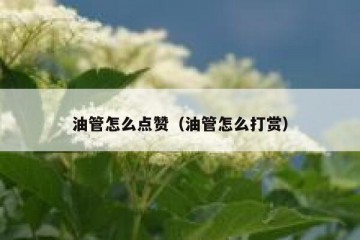 油管怎么点赞（油管怎么打赏）