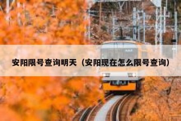 安阳限号查询明天（安阳现在怎么限号查询）