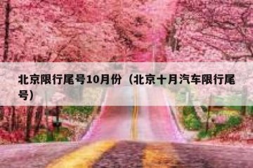 北京限行尾号10月份（北京十月汽车限行尾号）
