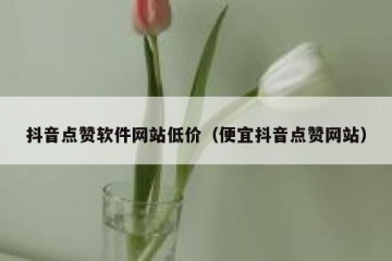 抖音点赞软件网站低价（便宜抖音点赞网站）