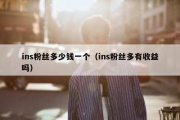 ins粉丝多少钱一个（ins粉丝多有收益吗）