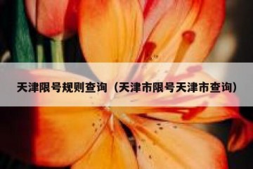 天津限号规则查询（天津市限号天津市查询）