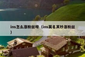 ins怎么涨粉丝呀（ins莫名其妙涨粉丝）