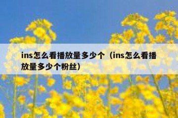 ins怎么看播放量多少个（ins怎么看播放量多少个粉丝）