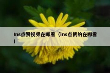 Ins点赞视频在哪看（ins点赞的在哪看）
