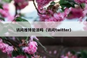 访问推特犯法吗（访问twitter）
