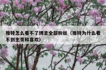 推特怎么看不了博主全部粉丝（推特为什么看不到主页和喜欢）