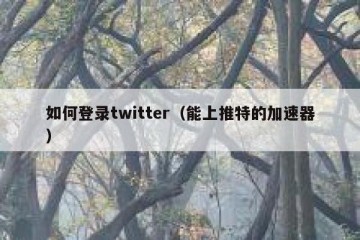 如何登录twitter（能上推特的加速器）