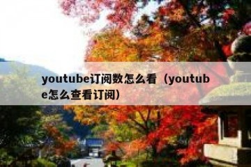 youtube订阅数怎么看（youtube怎么查看订阅）