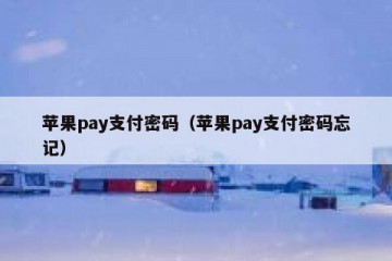 苹果pay支付密码（苹果pay支付密码忘记）