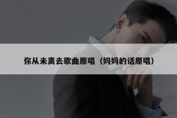 你从未离去歌曲原唱（妈妈的话原唱）