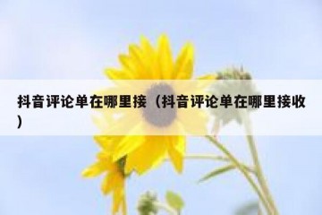 抖音评论单在哪里接（抖音评论单在哪里接收）