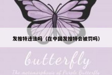 发推特违法吗（在中国发推特会被罚吗）