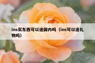 ins买东西可以送国内吗（ins可以送礼物吗）