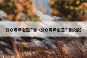 公众号评论区广告（公众号评论区广告投放）
