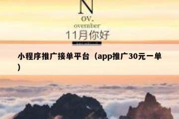 小程序推广接单平台（app推广30元一单）