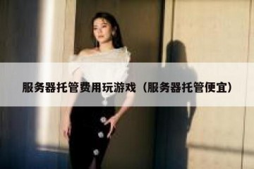 服务器托管费用玩游戏（服务器托管便宜）