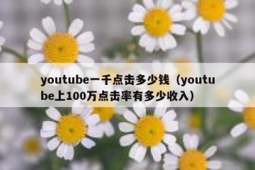 youtube一千点击多少钱（youtube上100万点击率有多少收入）