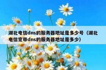 湖北电信dns的服务器地址是多少号（湖北电信宽带dns的服务器地址是多少）