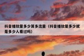 抖音播放量多少算多流量（抖音播放量多少就是多少人看过吗）