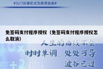 免签码支付程序授权（免签码支付程序授权怎么取消）