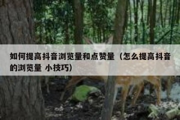 如何提高抖音浏览量和点赞量（怎么提高抖音的浏览量 小技巧）