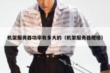 机架服务器功率有多大的（机架服务器规格）