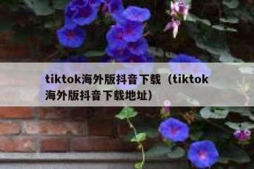 tiktok海外版抖音下载（tiktok海外版抖音下载地址）