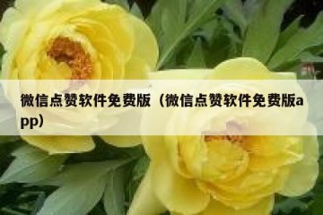微信点赞软件免费版（微信点赞软件免费版app）