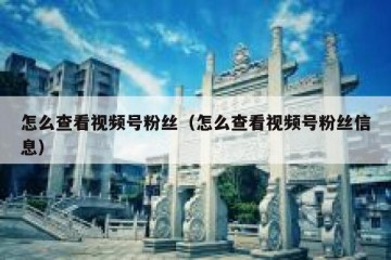 怎么查看视频号粉丝（怎么查看视频号粉丝信息）
