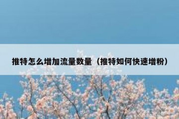 推特怎么增加流量数量（推特如何快速增粉）
