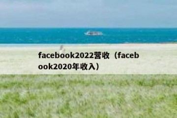 facebook2022营收（facebook2020年收入）